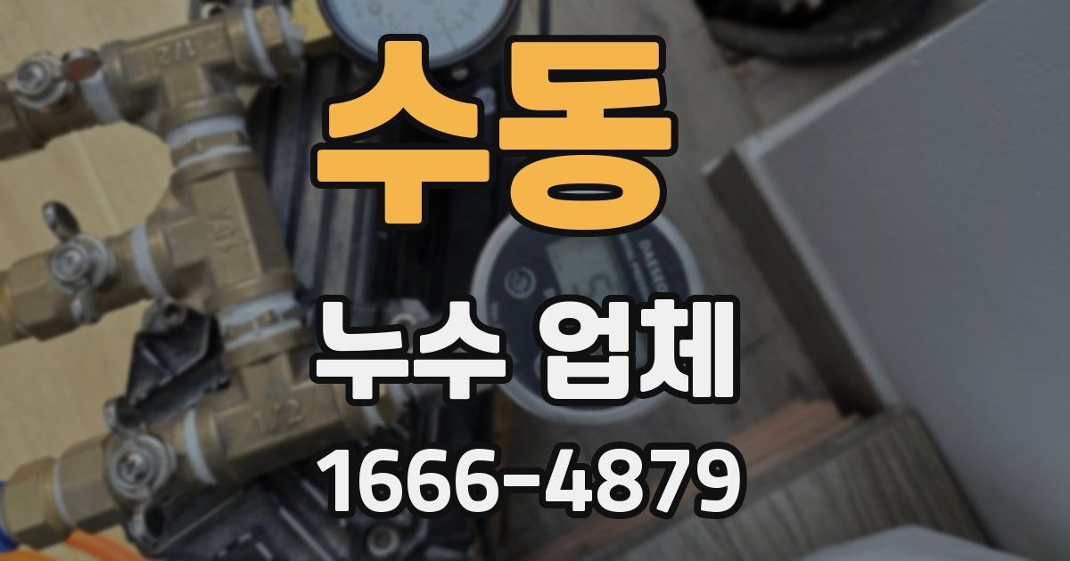 수동 누수 업체