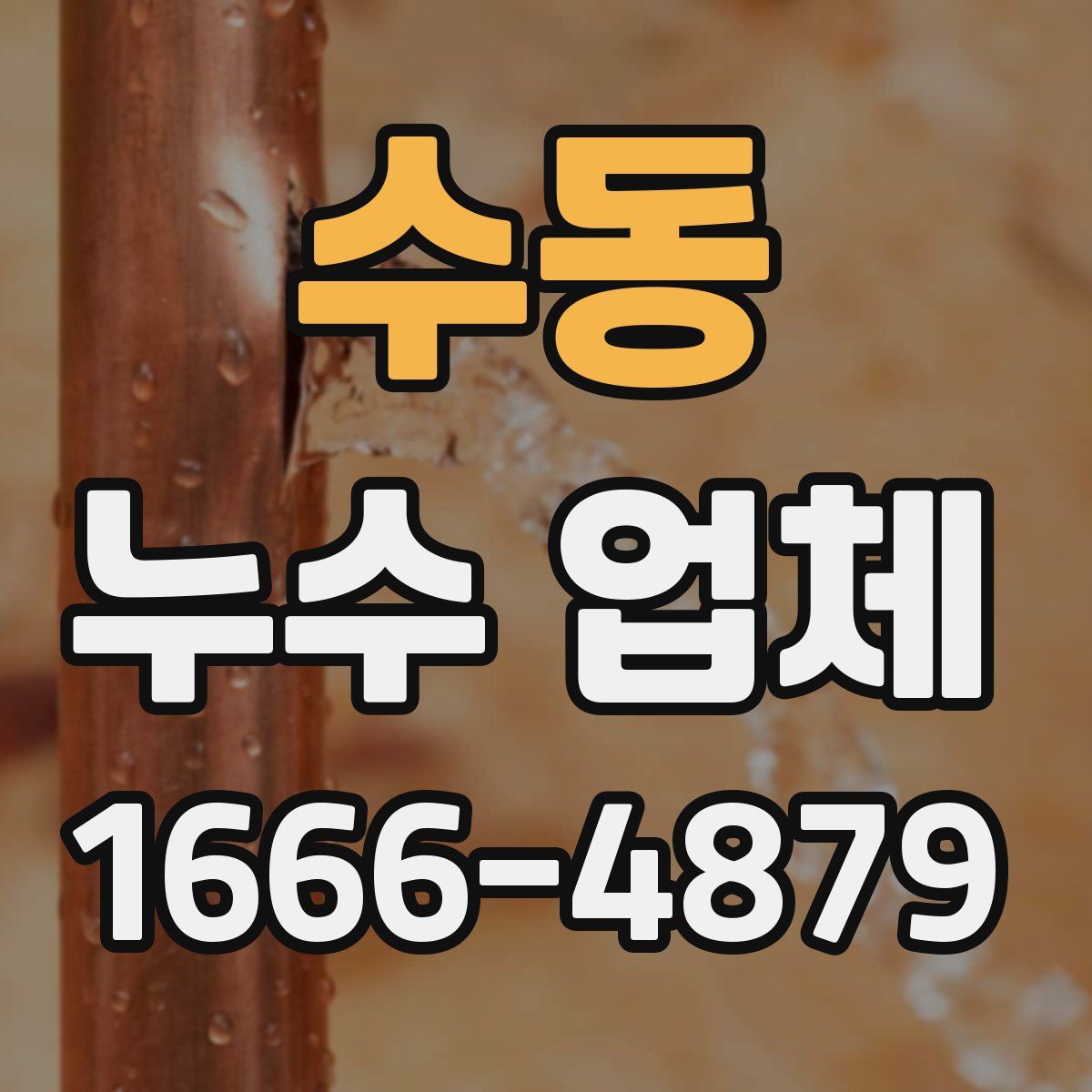 수동 누수 업체