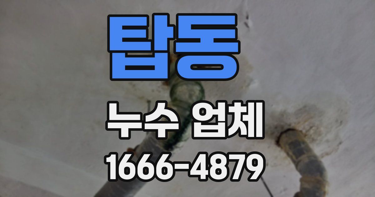 탑동 누수 업체