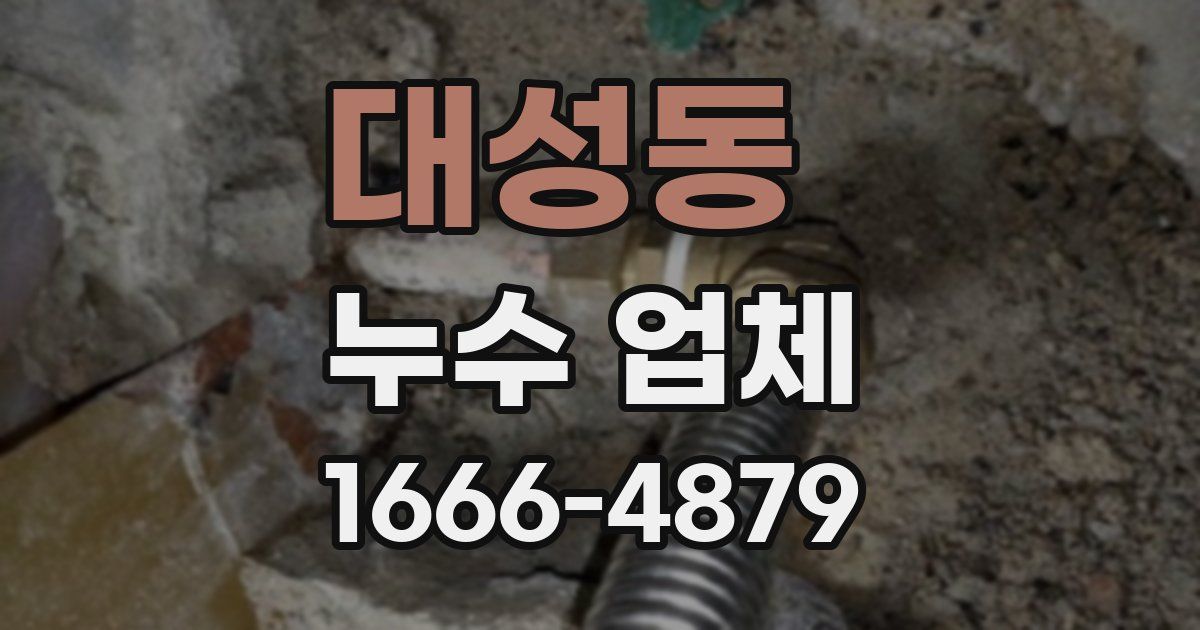 대성동 누수 업체