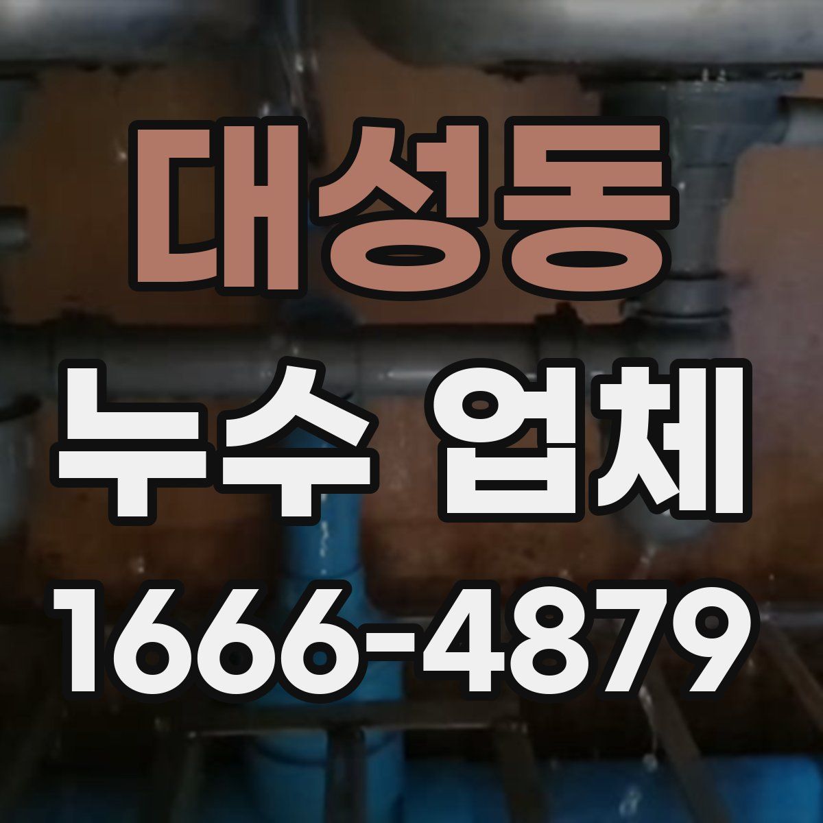 대성동 누수 업체