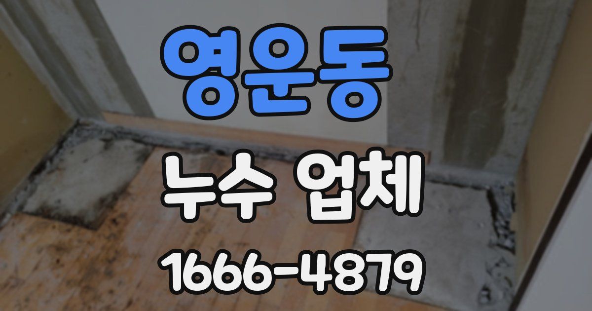영운동 누수 업체