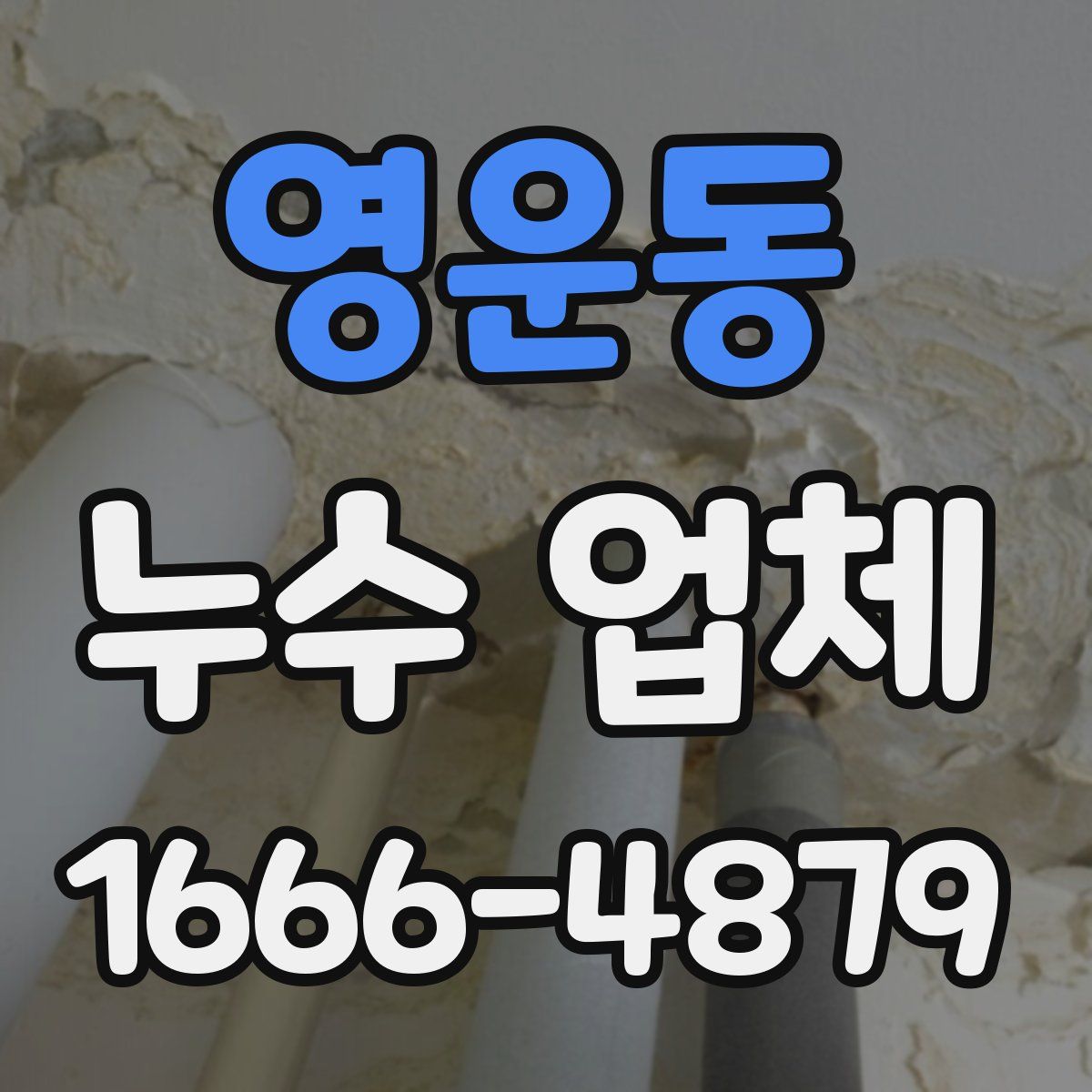 영운동 누수 업체