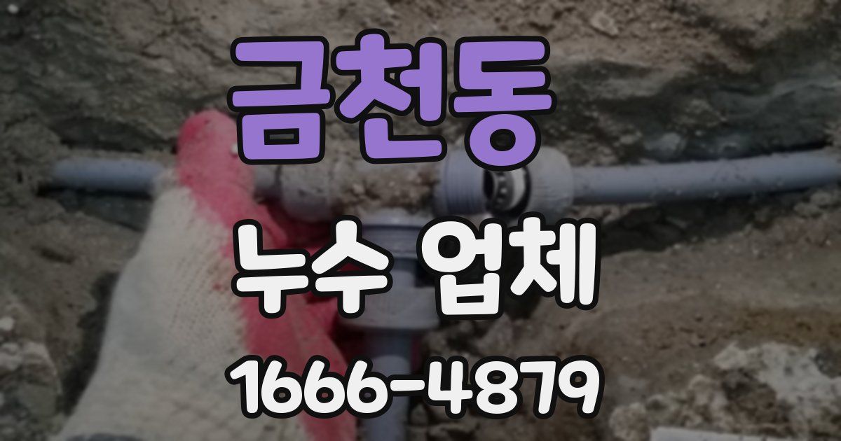 금천동 누수 업체