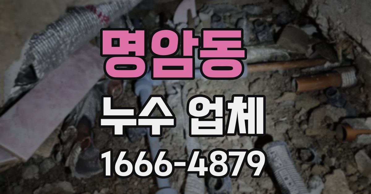 명암동 누수 업체