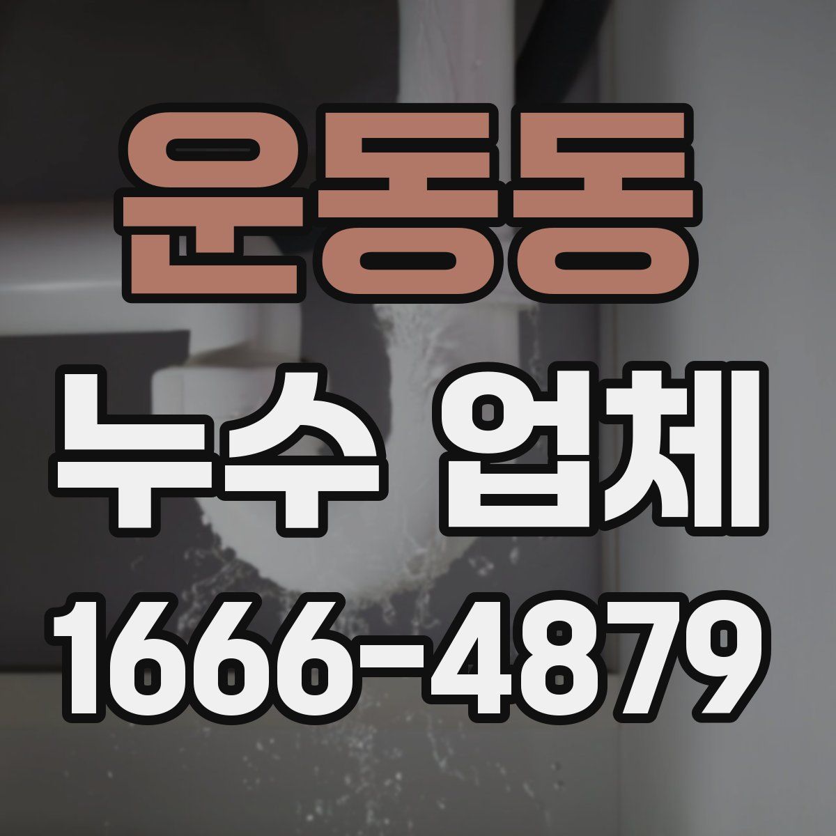 운동동 누수 업체
