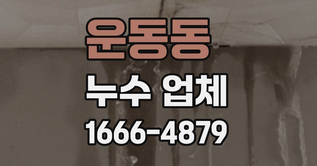 운동동 누수 업체