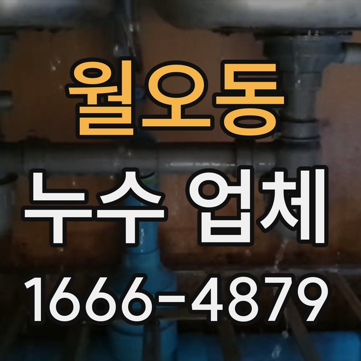 월오동 누수 업체