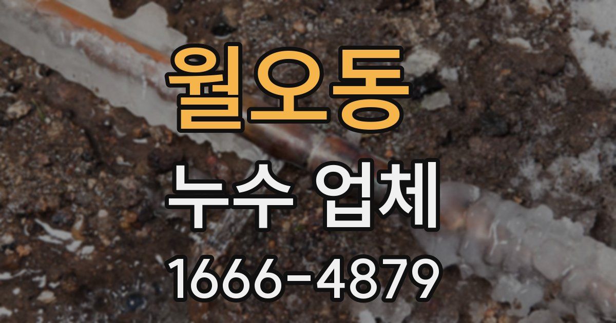 월오동 누수 업체