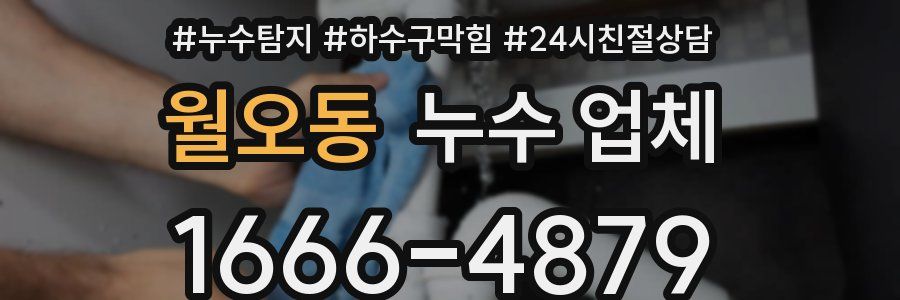 월오동 누수 업체