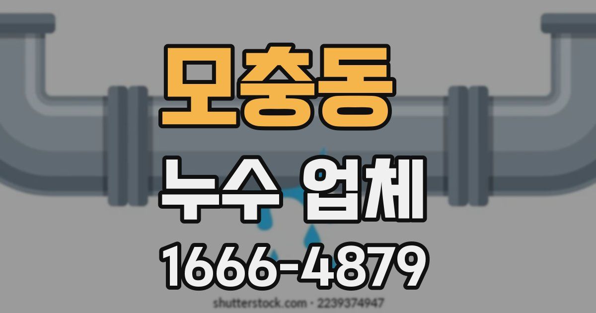 모충동 누수 업체