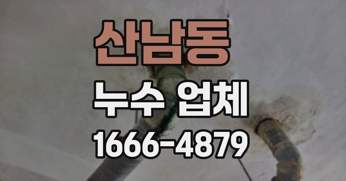 산남동 누수 업체