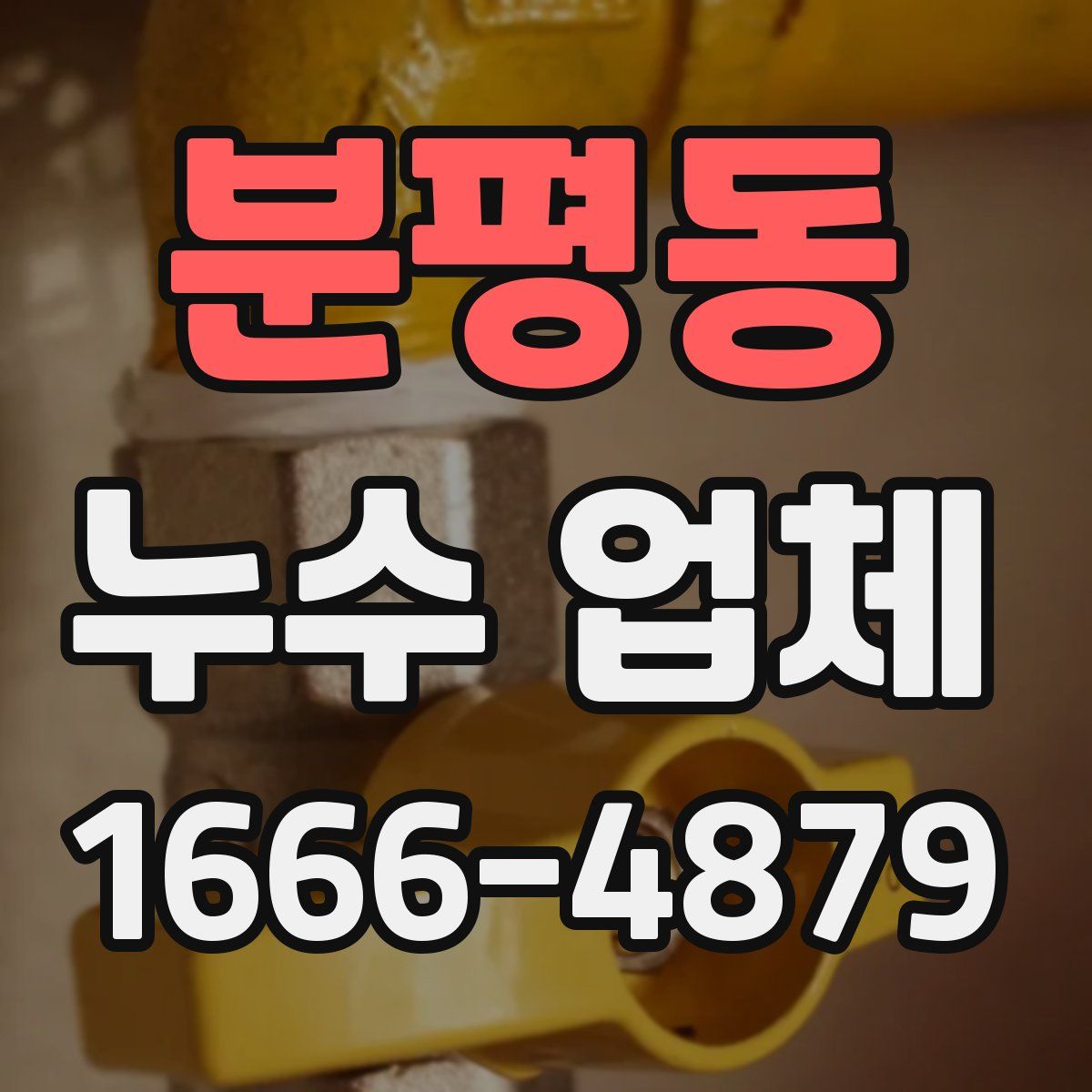 분평동 누수 업체