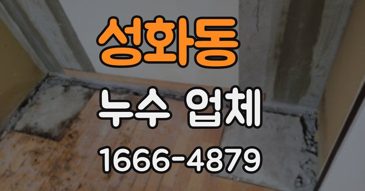 성화동 누수 업체