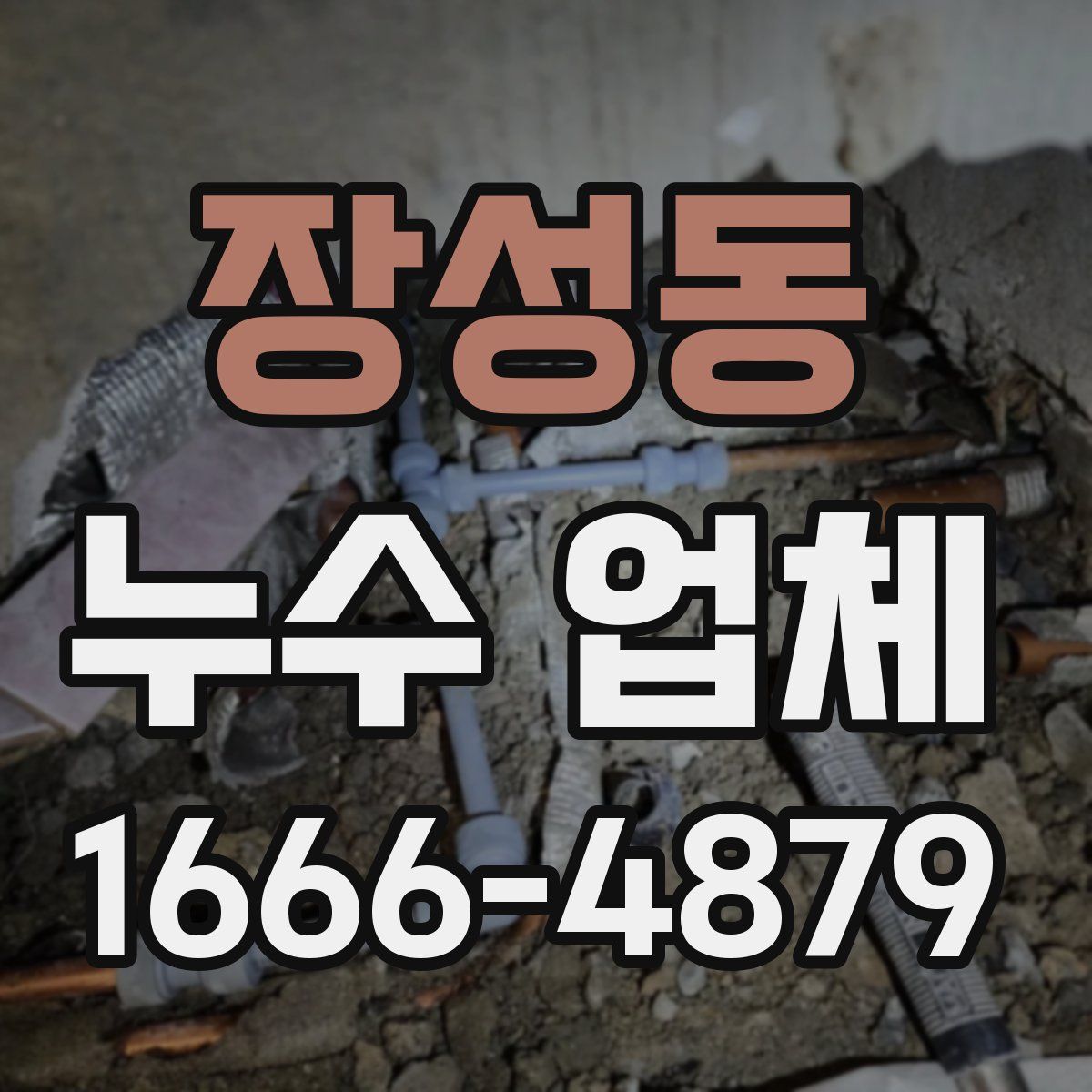 장성동 누수 업체