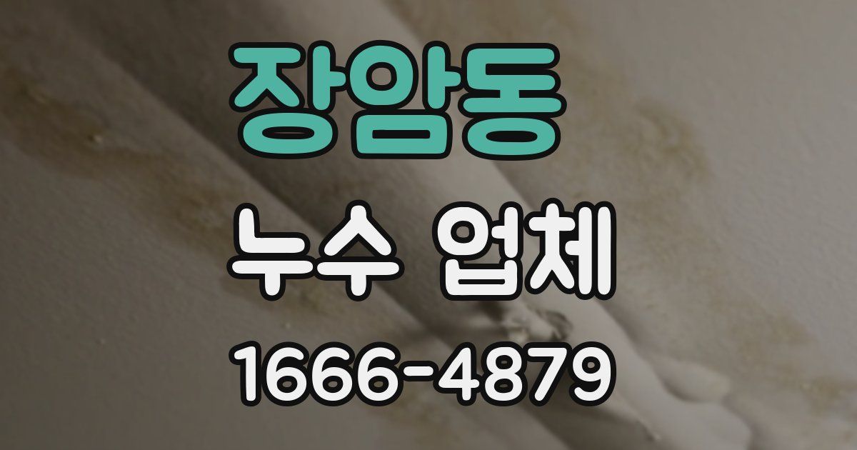 장암동 누수 업체
