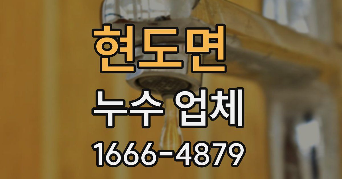 현도면 누수 업체