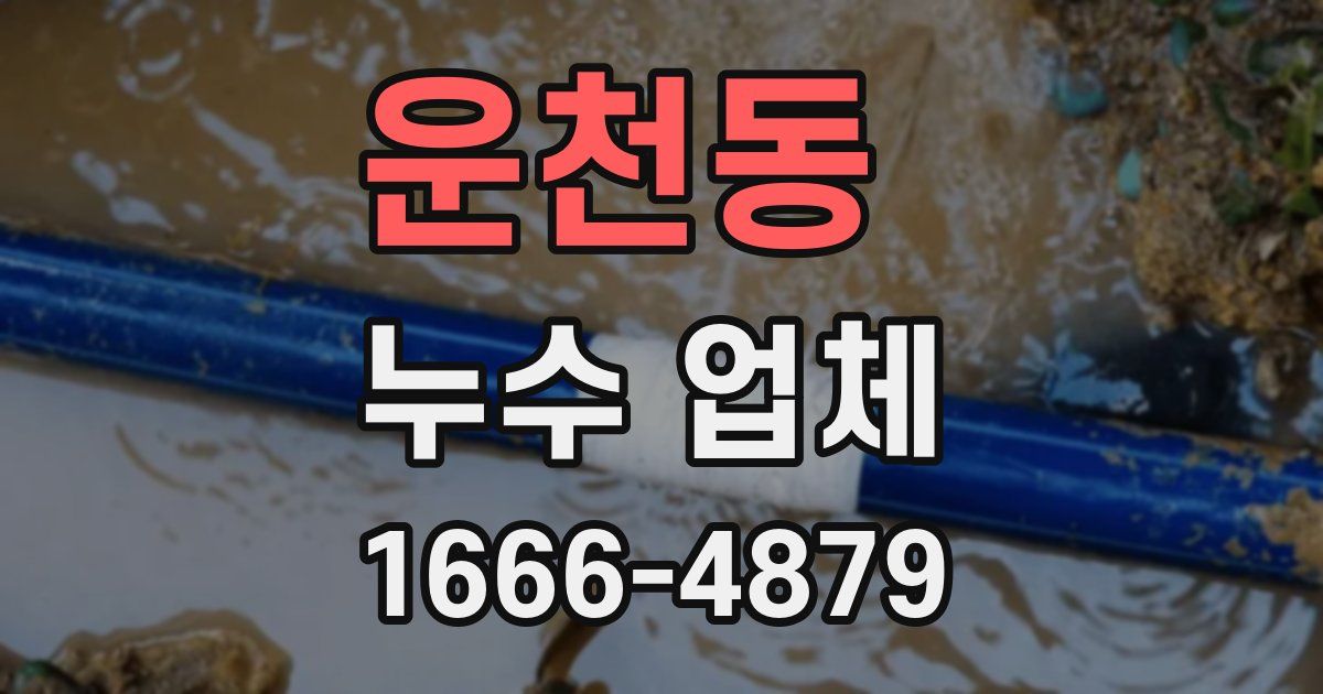 운천동 누수 업체
