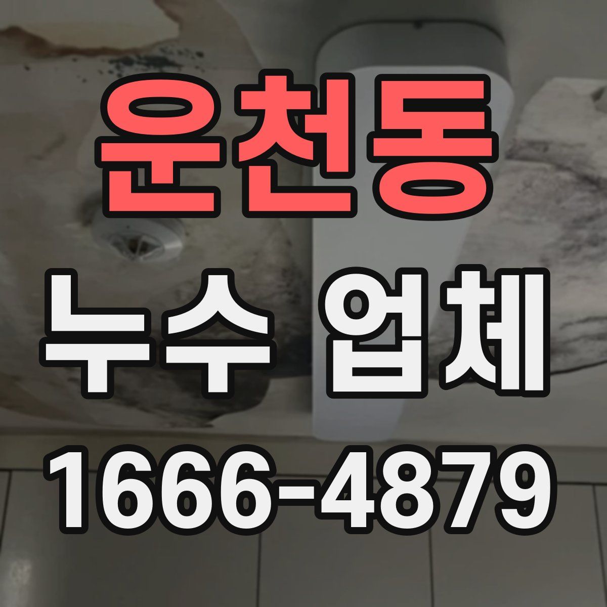 운천동 누수 업체