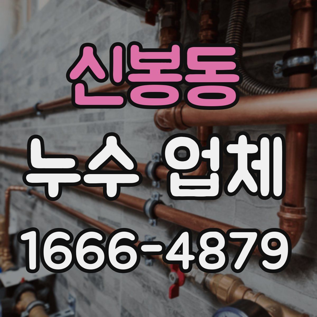 신봉동 누수 업체