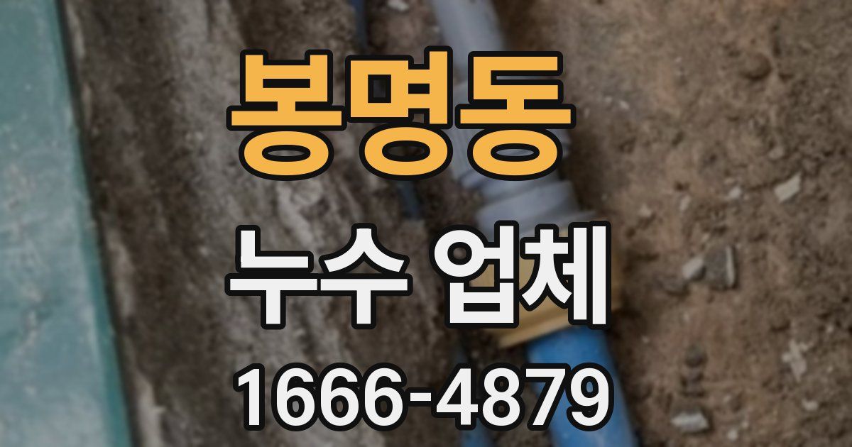 봉명동 누수 업체