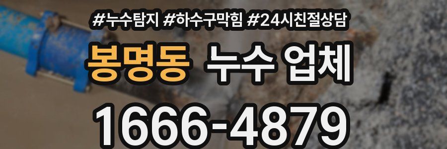 봉명동 누수 업체
