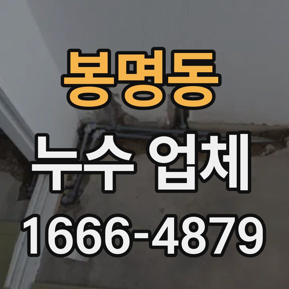 봉명동 누수 업체