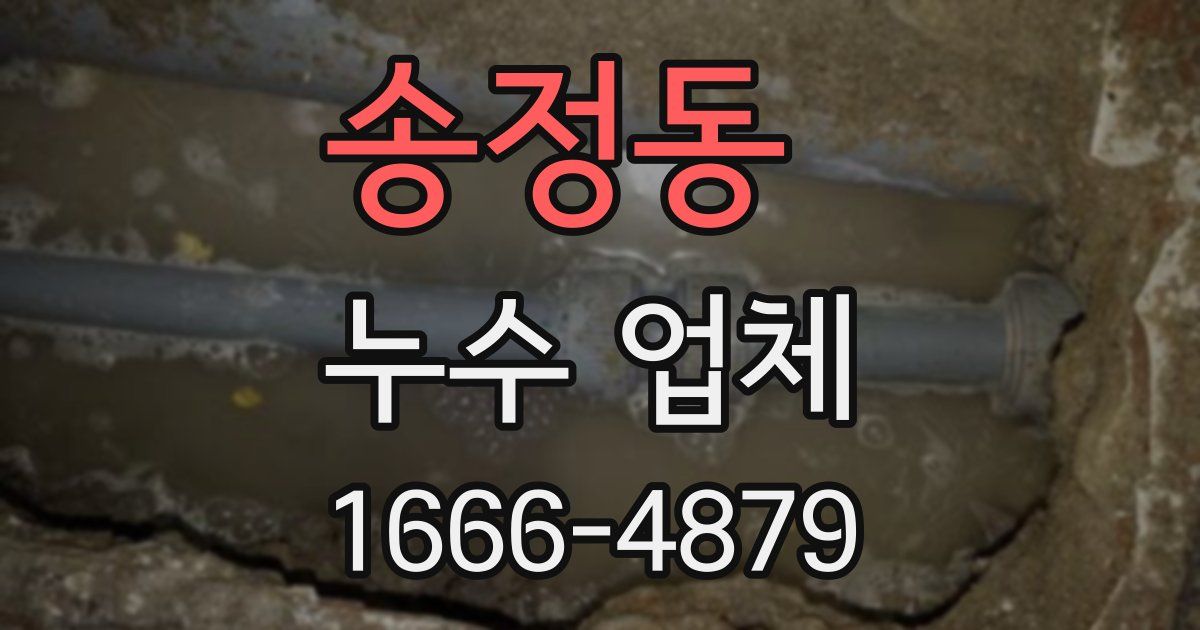 송정동 누수 업체
