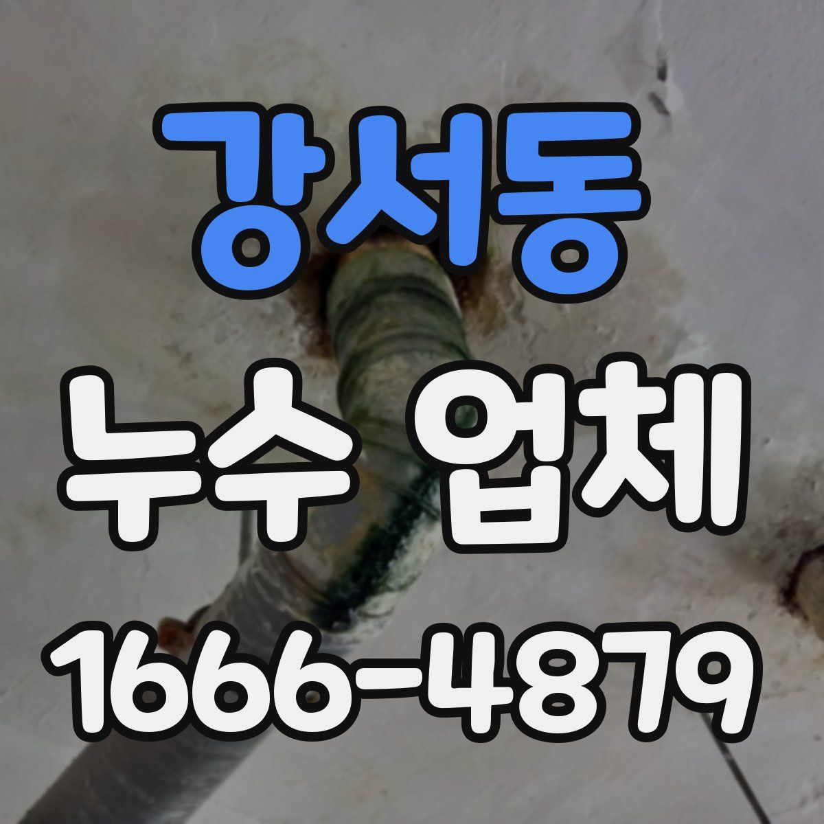 강서동 누수 업체