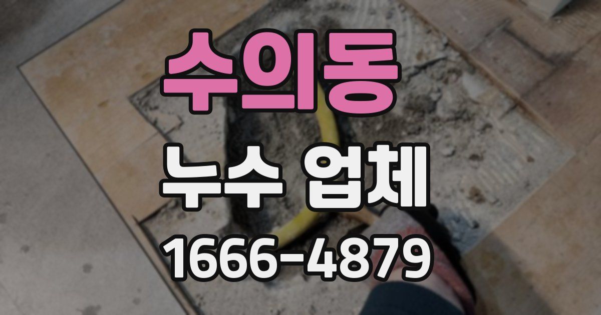 수의동 누수 업체