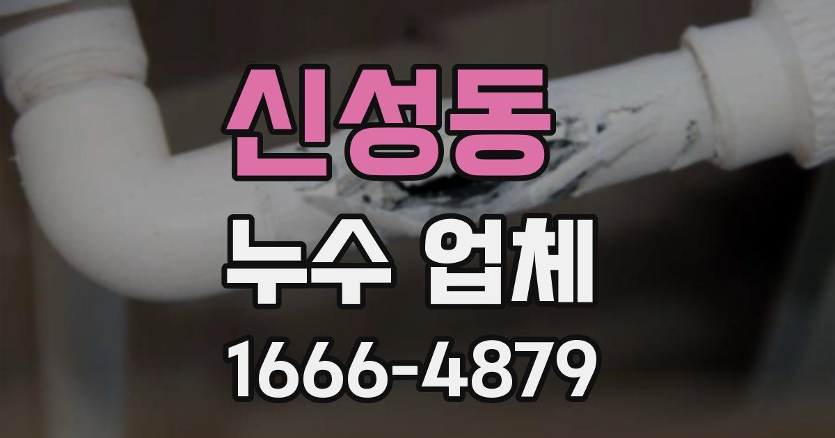신성동 누수 업체