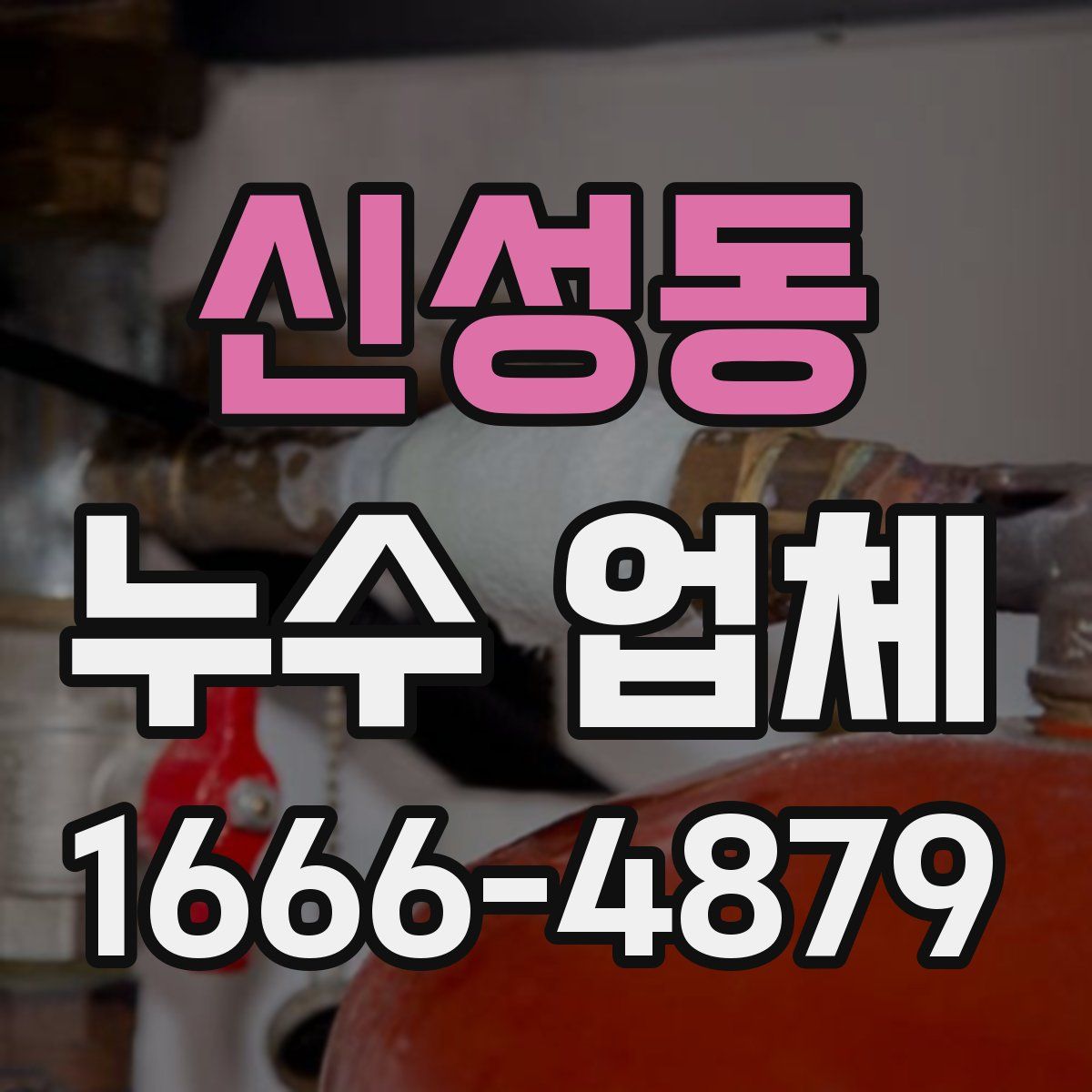 신성동 누수 업체