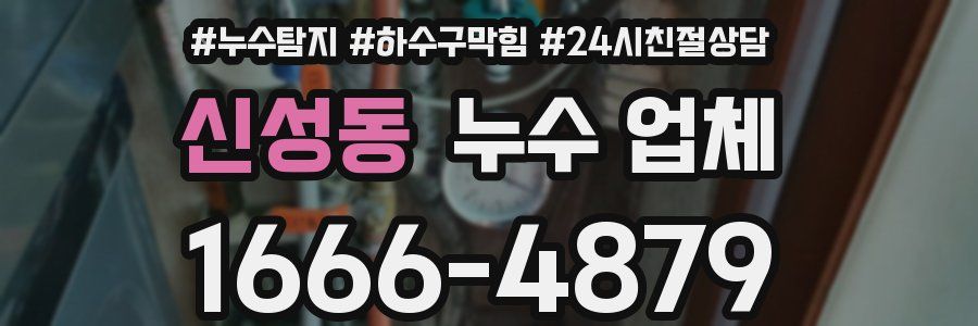 신성동 누수 업체