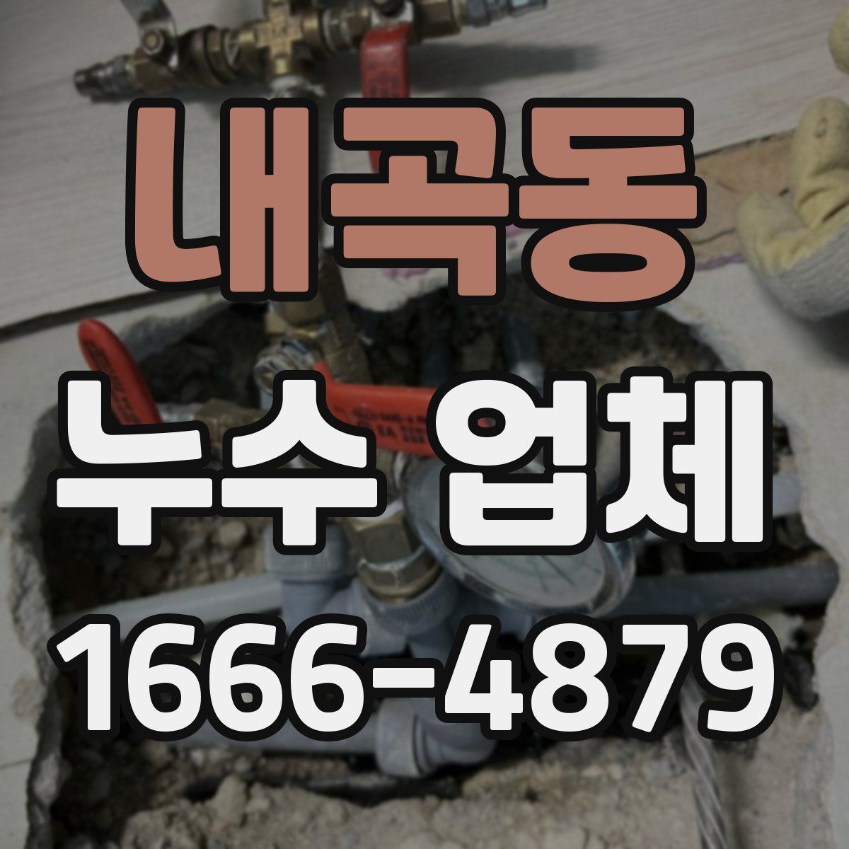 내곡동 누수 업체