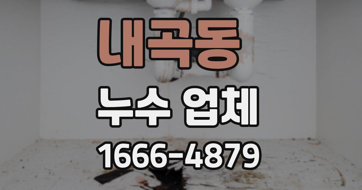 내곡동 누수 업체