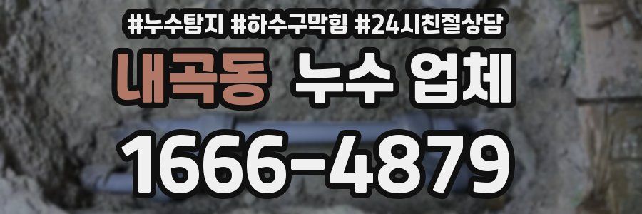 내곡동 누수 업체