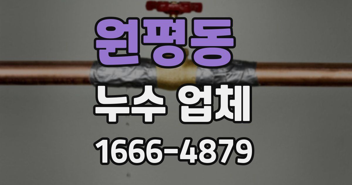 원평동 누수 업체