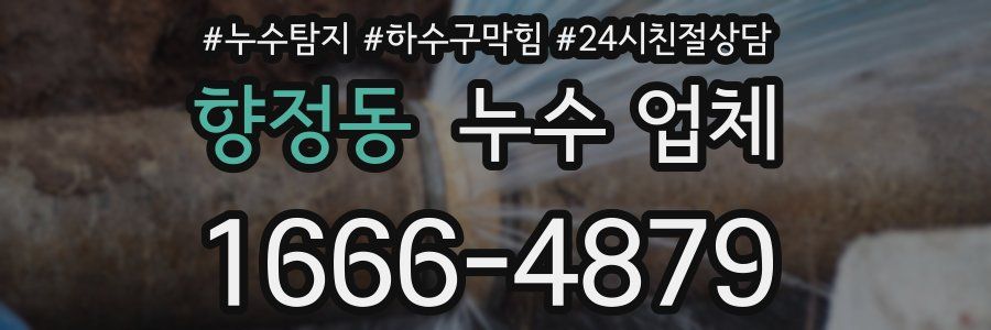 향정동 누수 업체