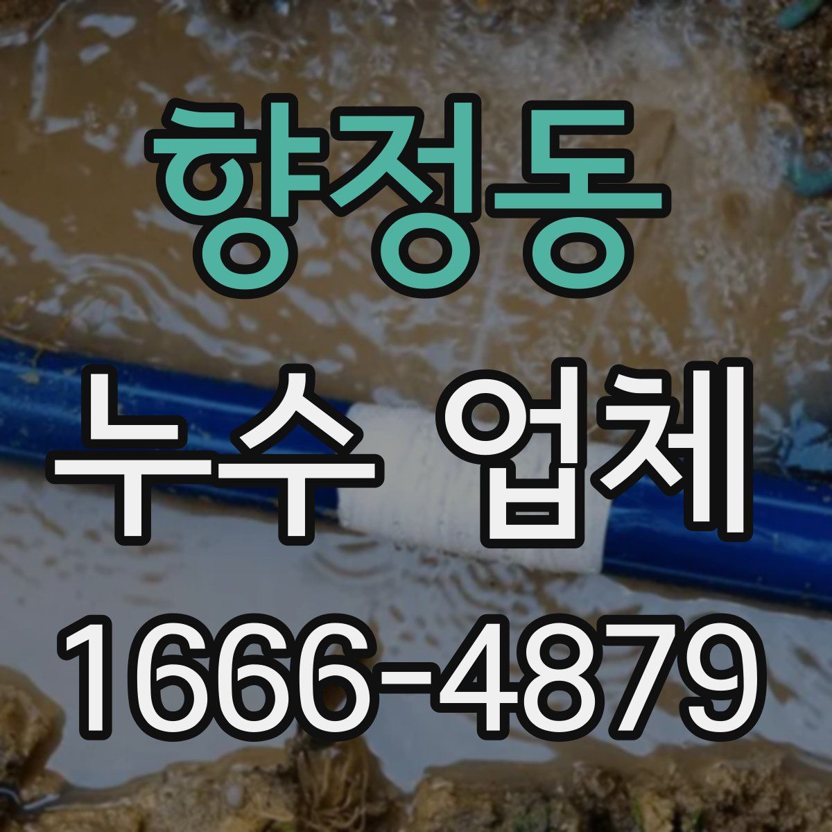 향정동 누수 업체