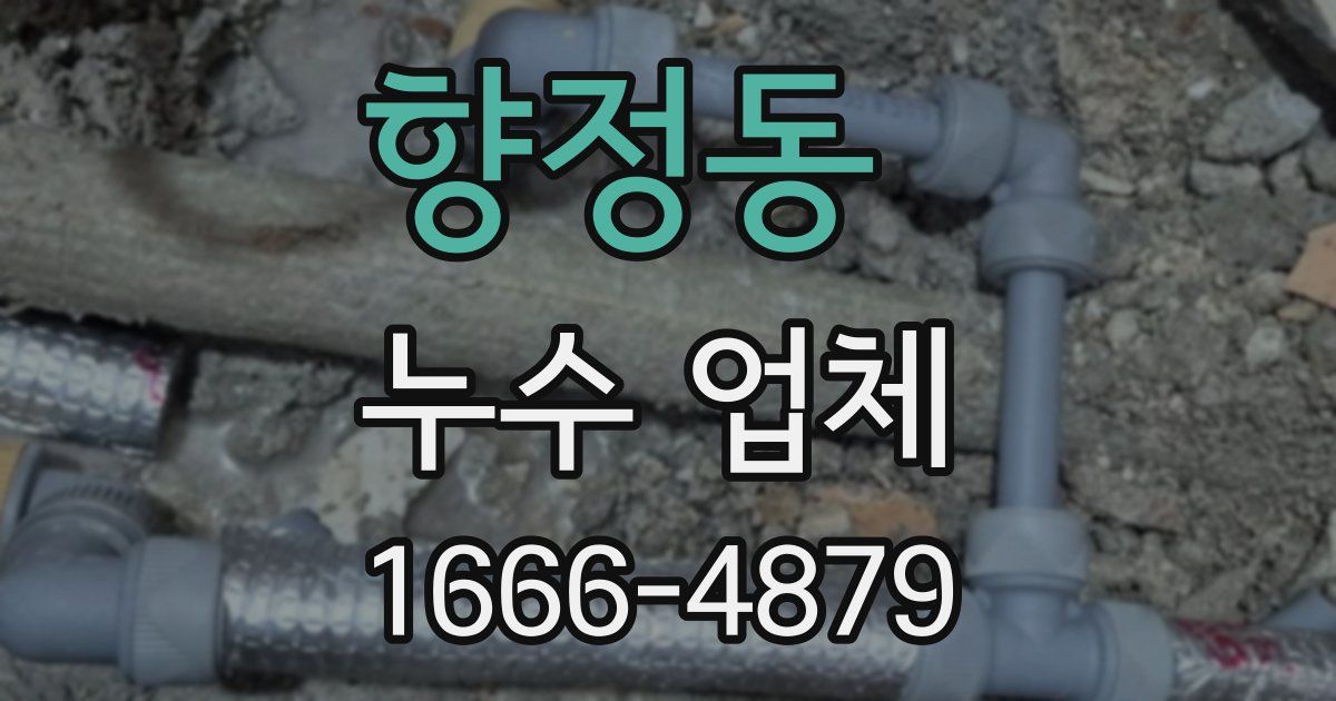 향정동 누수 업체