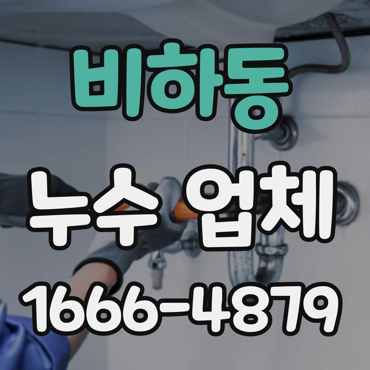 비하동 누수 업체