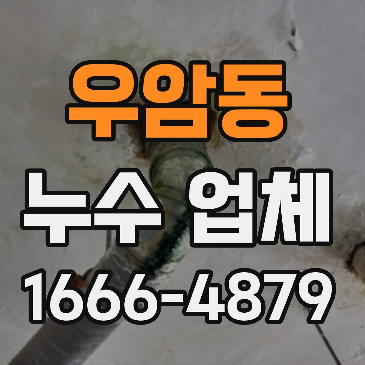 우암동 누수 업체