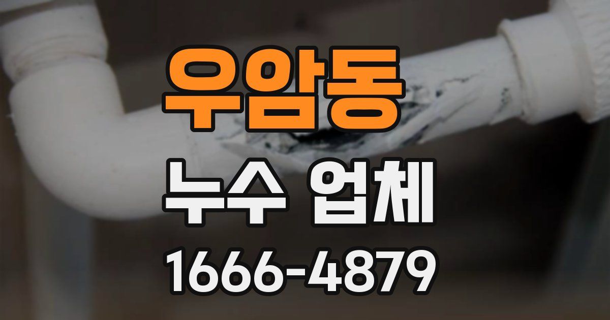 우암동 누수 업체