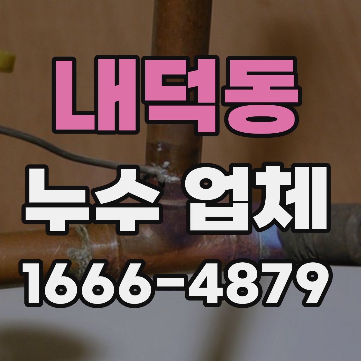 내덕동 누수 업체