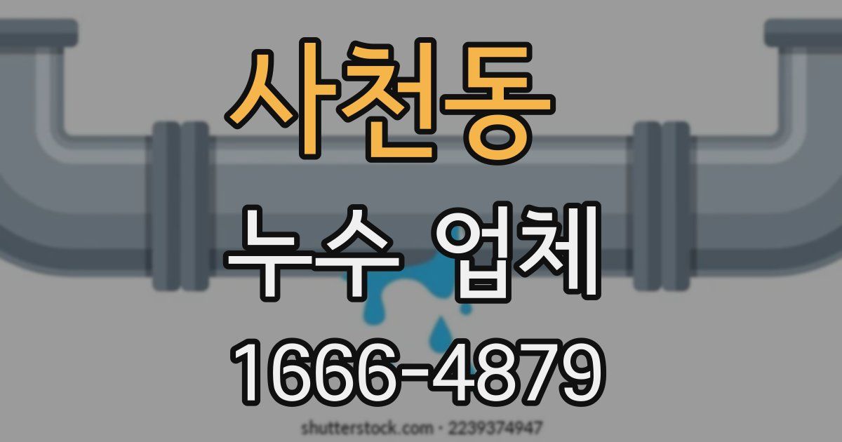 사천동 누수 업체