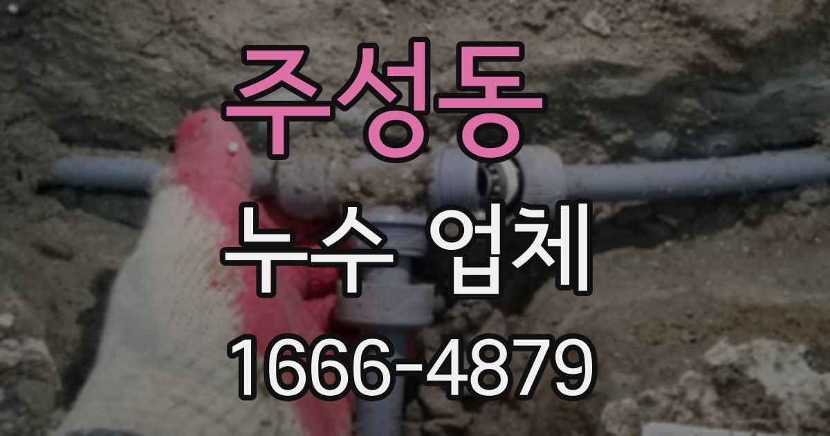 주성동 누수 업체