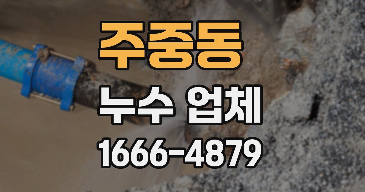 주중동 누수 업체