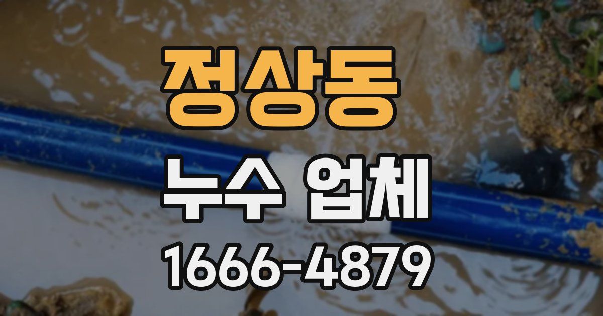 정상동 누수 업체