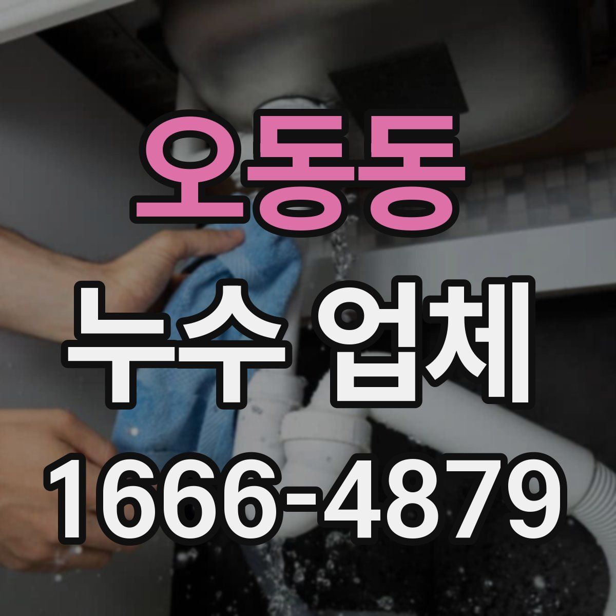 오동동 누수 업체