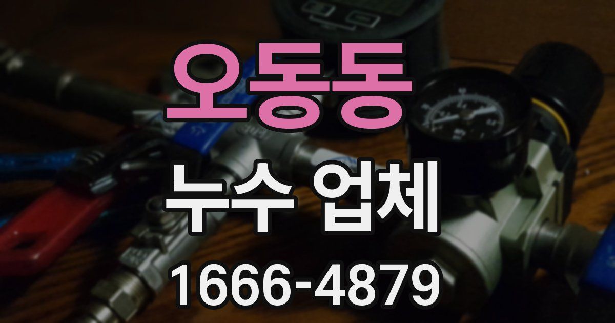 오동동 누수 업체